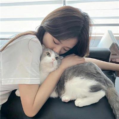 出柙猛虎