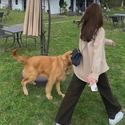 我恨情人节